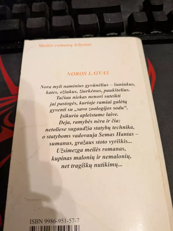 Noros laivas - Mary Lou Rich, knyga 2