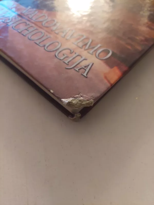 Vadovavimo psichologija - Violeta Barvydienė, Juozas  Kasiulis, knyga 5