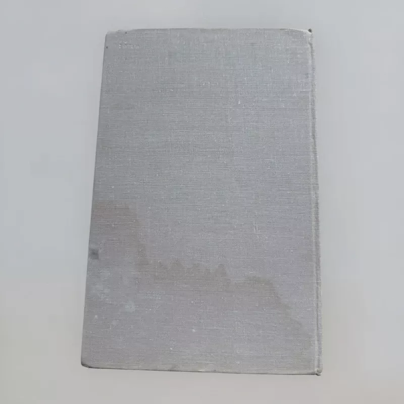 Lietuvių literatūros istorija (I tomas) - Autorių Kolektyvas, knyga 4