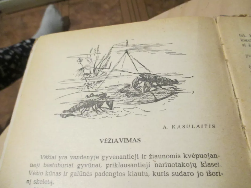 Meškeriojimas - A. Kasulaitis, knyga 5