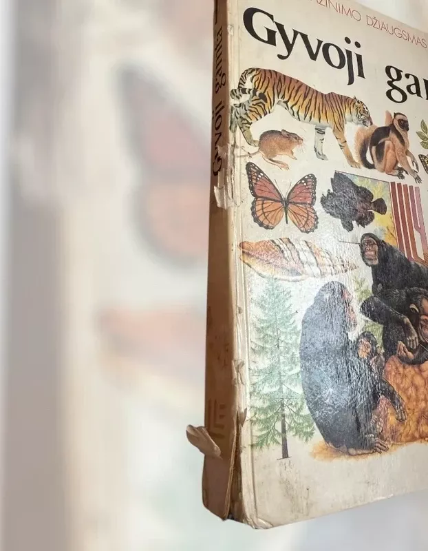 Pažinimo džiaugsmas. Gyvoji gamta - Autorių kolektyvas (įvairūs), knyga 4