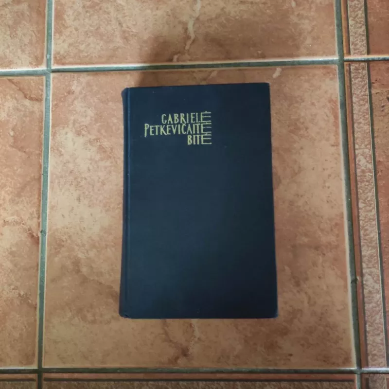 Karo meto dienoraštis - Gabrielė Petkevičaitė-Bitė, knyga 2