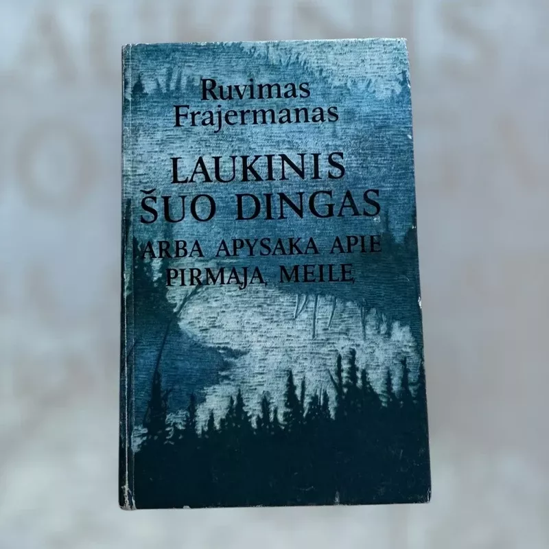 Laukinis šuo Dingas, arba apysaka apie pirmąją meilę - Ruvimas Frajermanas, knyga 2