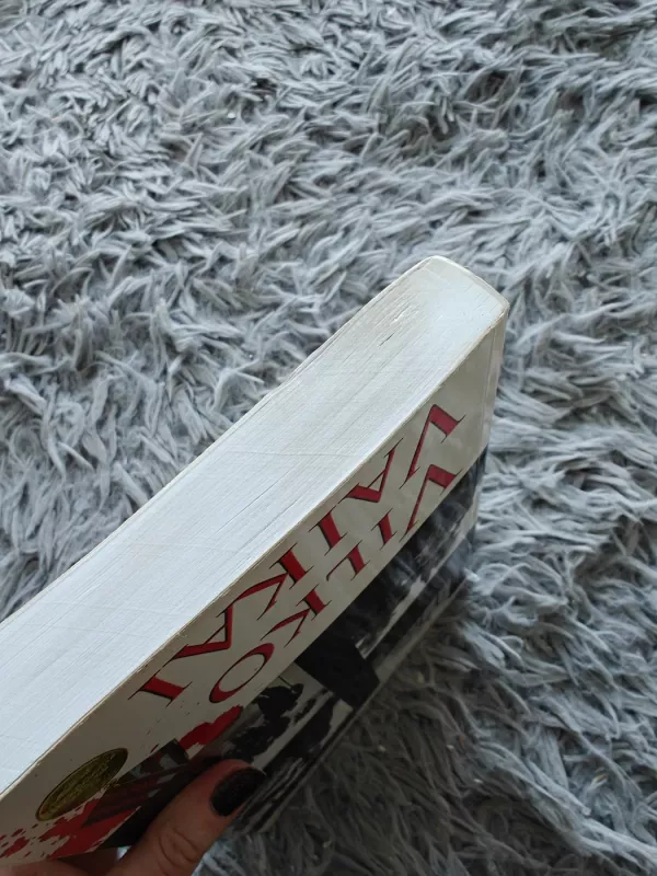 Vilko vaikai - Remigijus Baltrušaitis, knyga 5