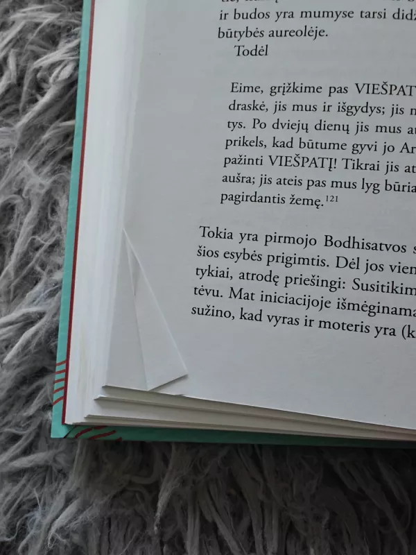 Herojus su tūkstančiu veidų - Joseph Campbell, knyga 3