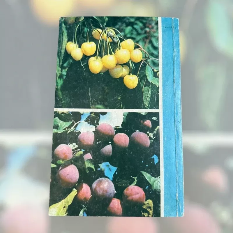 Sodininko žinynas 1988 - Algirdas Puipa, knyga 3