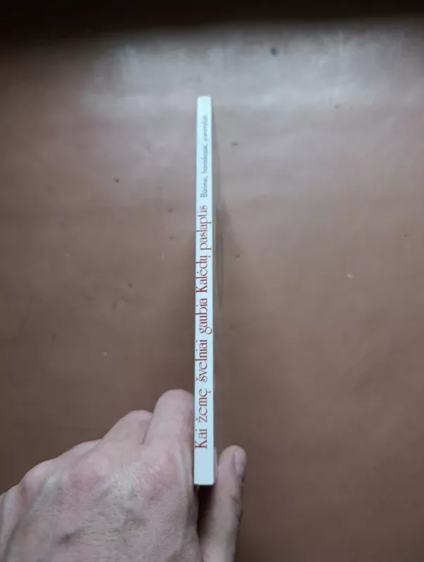 Kai žemę švelniai gaubia Kalėdų paslaptis. Būrimai, horoskopai, įvairenybės - Nora Jazbutytė, Irena  Aleksaitė, knyga 3