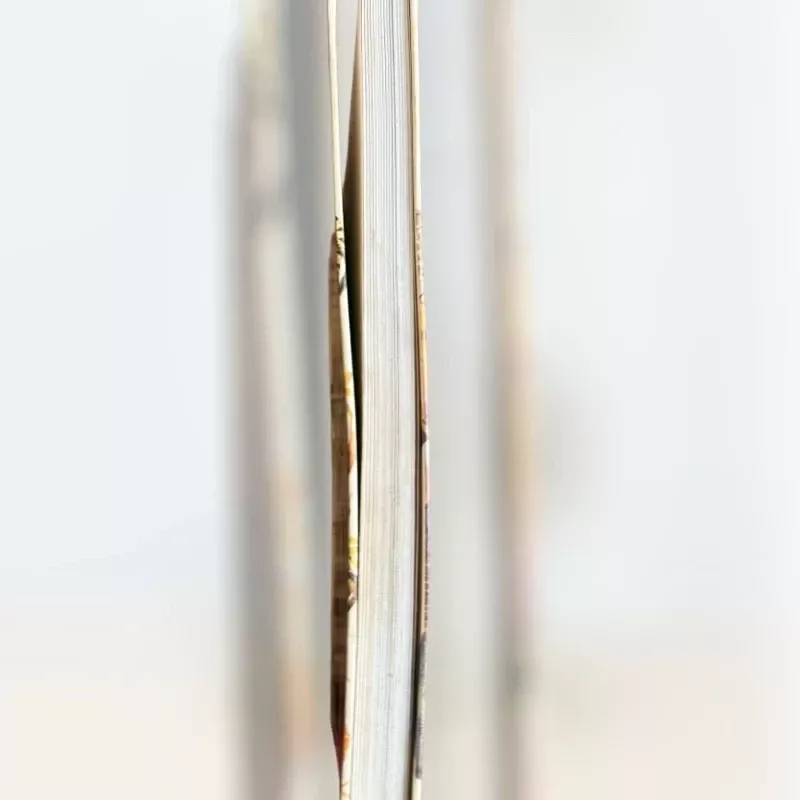 Pažinimo džiaugsmas. Gyvoji gamta - Autorių kolektyvas (įvairūs), knyga 5