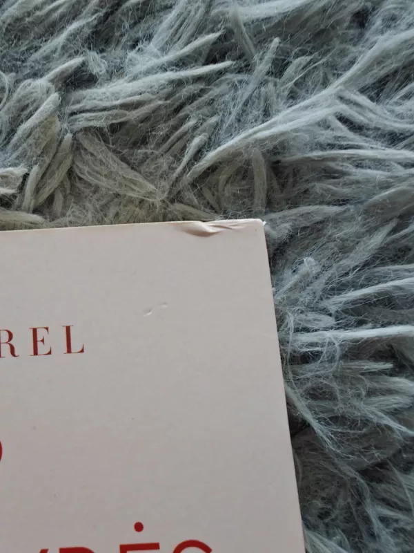 Tarp kasdienybės ir geismo.  Kaip išsaugoti aistrą ilgalaikiuose santykiuose - ESTHER PEREL, knyga 4