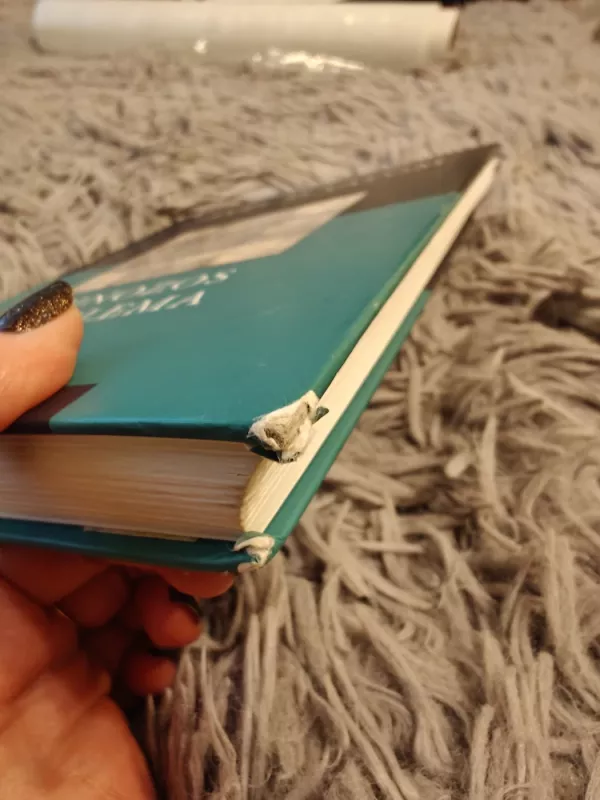 Spinozos problema - Irvin D. Yalom, knyga 5