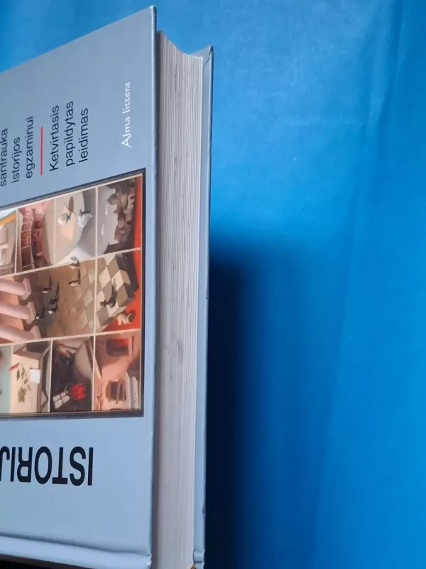 Istorija. Politologija - Nijolė Letukienė, Jonas  Gineika, knyga 3