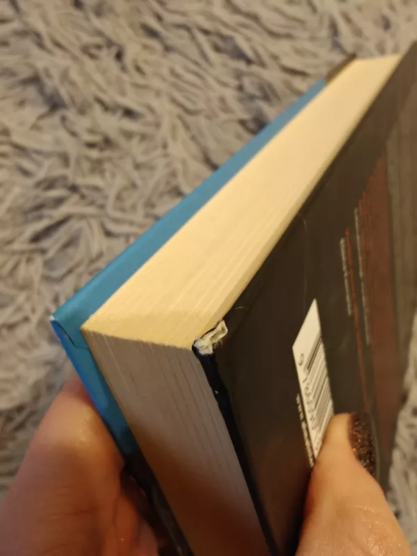 Apie tuos, kurie pabėga, ir tuos, kurie lieka - Elena Ferrante, knyga 3