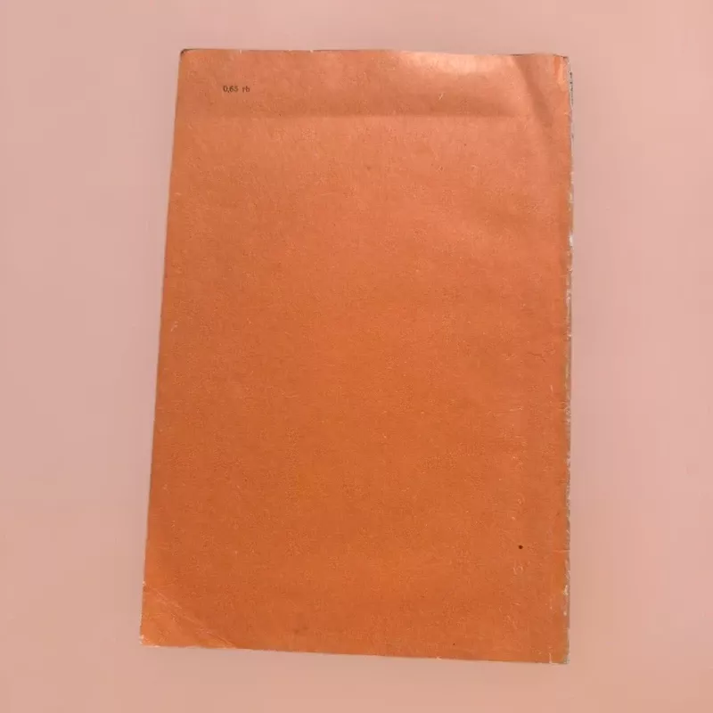 Buto remontas - A. Veskis, J.  Veskis, knyga 3