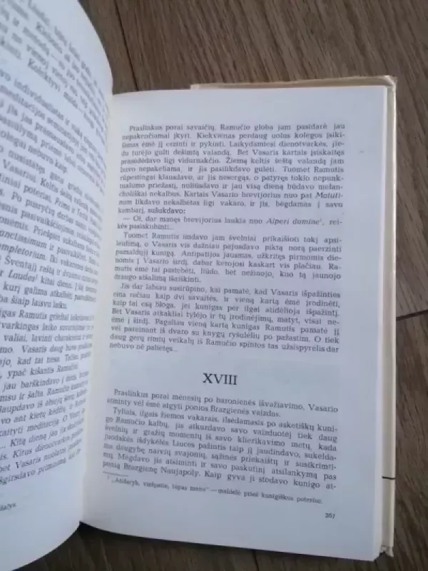 Raštai 4 tomas. Altorių šešėly - Vincas Mykolaitis-Putinas, knyga 4