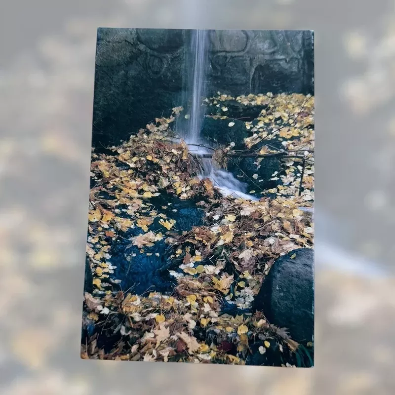 Žemaičių dailės muziejus - Autorių Kolektyvas, knyga 3