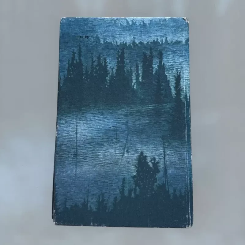 Laukinis šuo Dingas, arba apysaka apie pirmąją meilę - Ruvimas Frajermanas, knyga 3