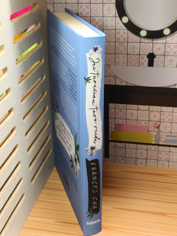 Jei turėčiau Tavo Veidą - Frances Cha, knyga 4