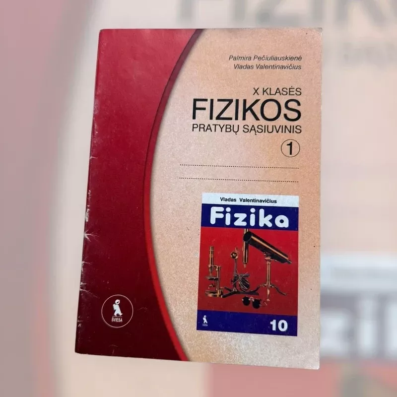 X klasės fizikos pratybų sąsiuvinis 1 - Vladas Valentinavičius, knyga 2