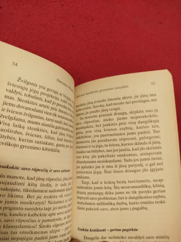 Auksinės kasdienio gyvenimo taisyklės - Omraam Mikhael Aivanhov, knyga 4