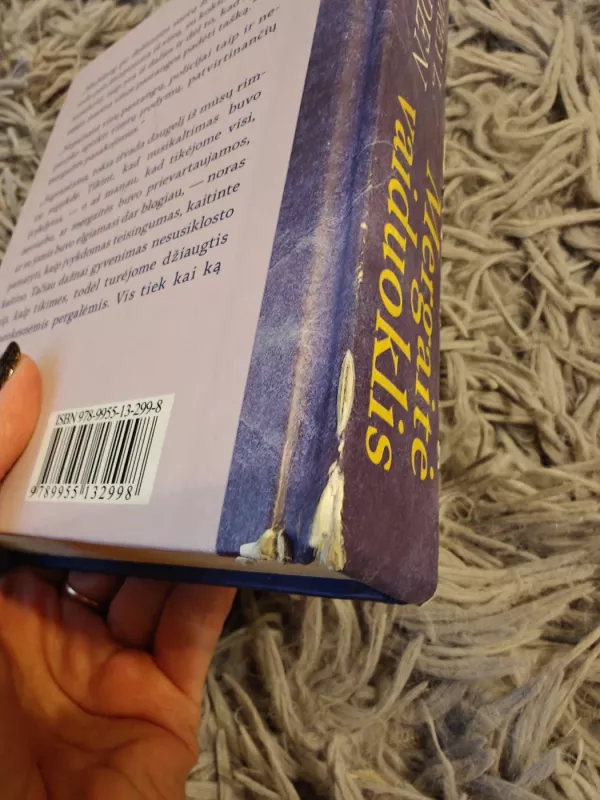 Mergaitė vaiduoklis - Torey Hayden, knyga 5