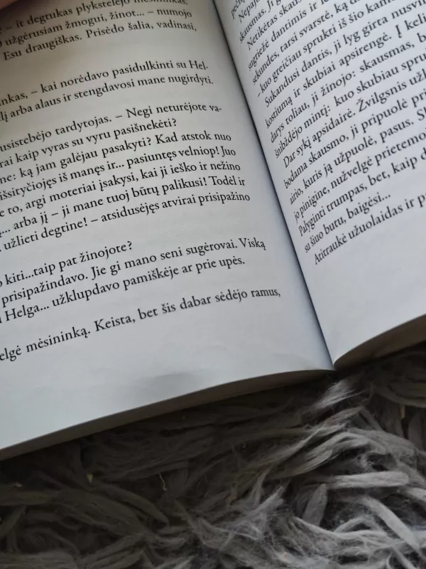 Vilko vaikai - Remigijus Baltrušaitis, knyga 3