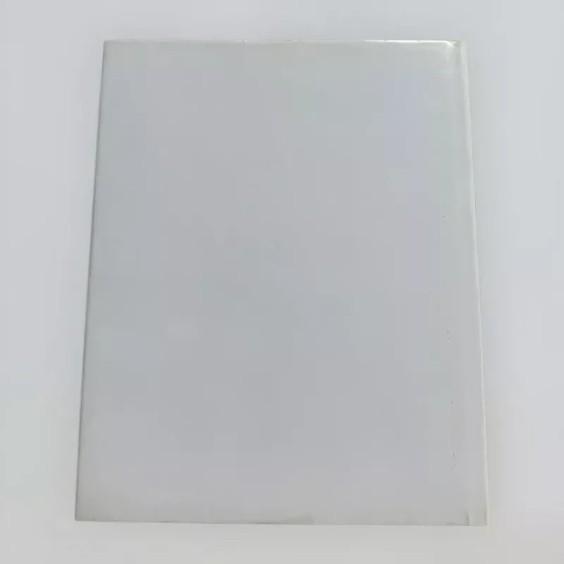 Nepriklausomybės Akto signataras D. Malinauskas - Raimundas Lopata, knyga 3