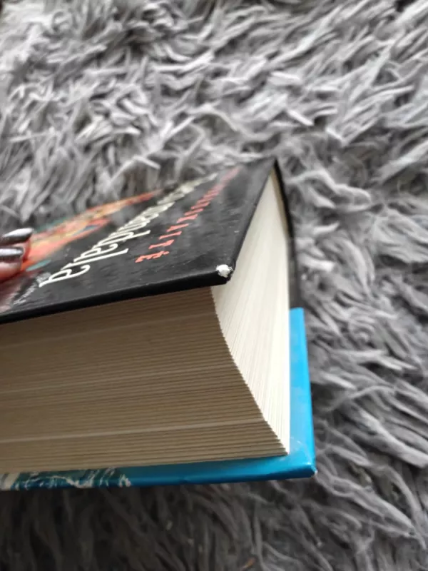 Tibeto mandala - Jurga Ivanauskaitė, knyga 4