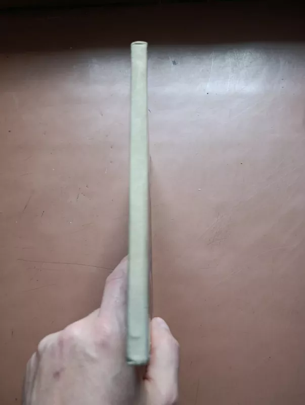 Žaisdami mokomės - H.J. Presas, knyga 3