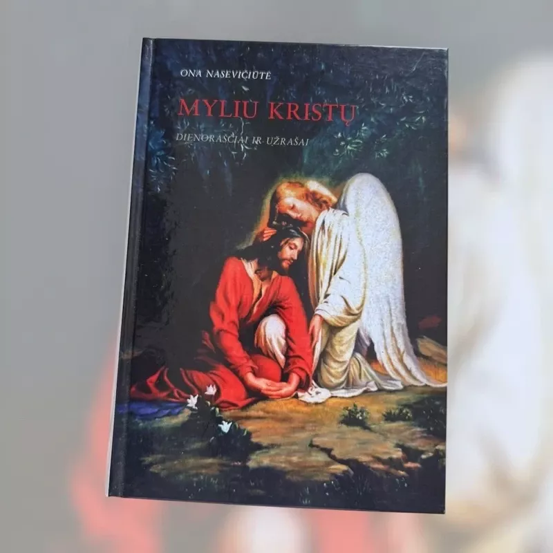 Myliu Kristų. Dienoraščiai ir užrašai - Ona Nasevičiūtė, knyga 2