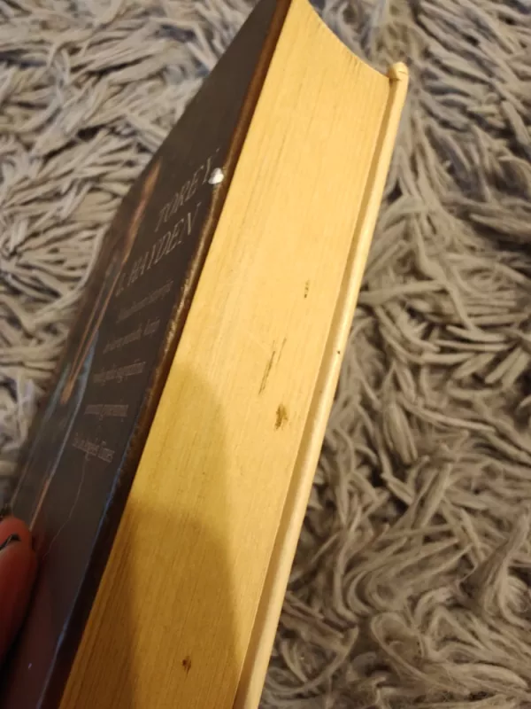 Mergaitė - L.Hayden Torey, knyga 4