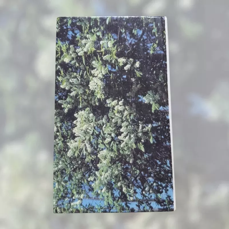 Aromatiniai augalai - J. Jaskonis, knyga 3