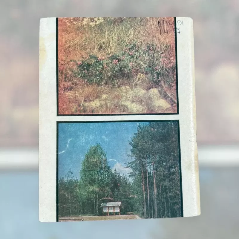 Žeme, ar nepavargsi? - A. Lugauskas, knyga 3