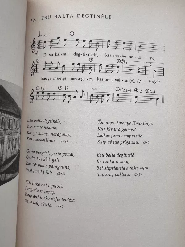 Girtuoklių dainos - Jūratė Gudaitė, knyga 4