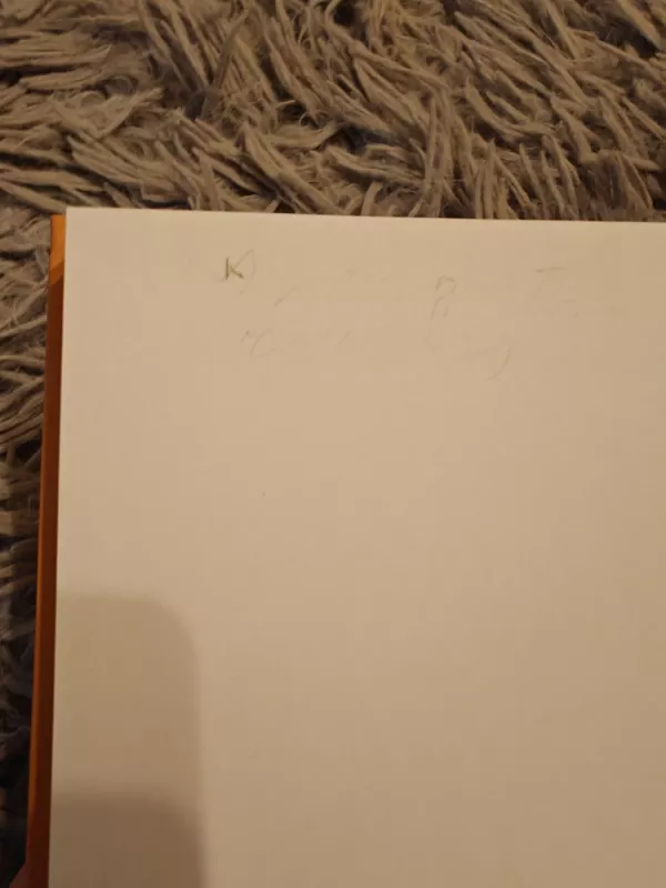 Žiūrėti į saulę. Kaip įveikti mirties baimę - Irvin D. Yalom, knyga 4