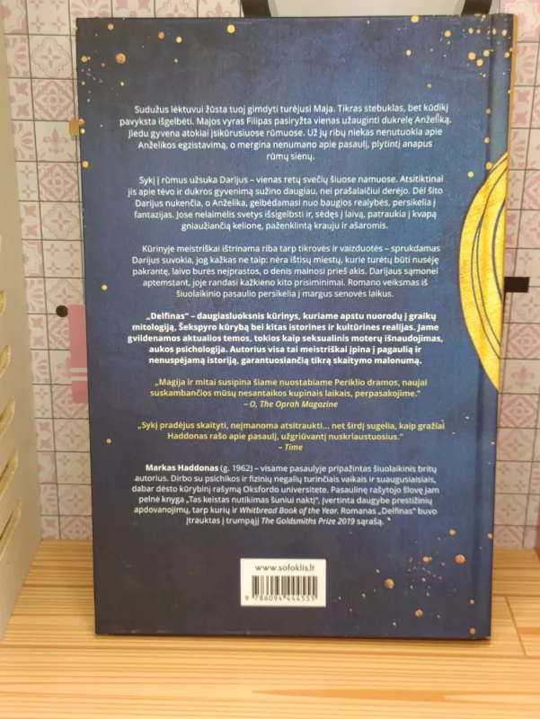 Delfinas - Markas Haddonas, knyga 4