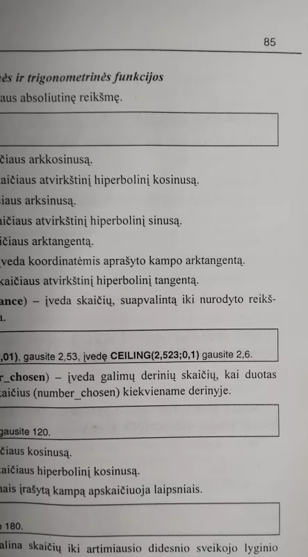 Excel 2000 ir XP versle - Bangimantas Starkus, knyga 4