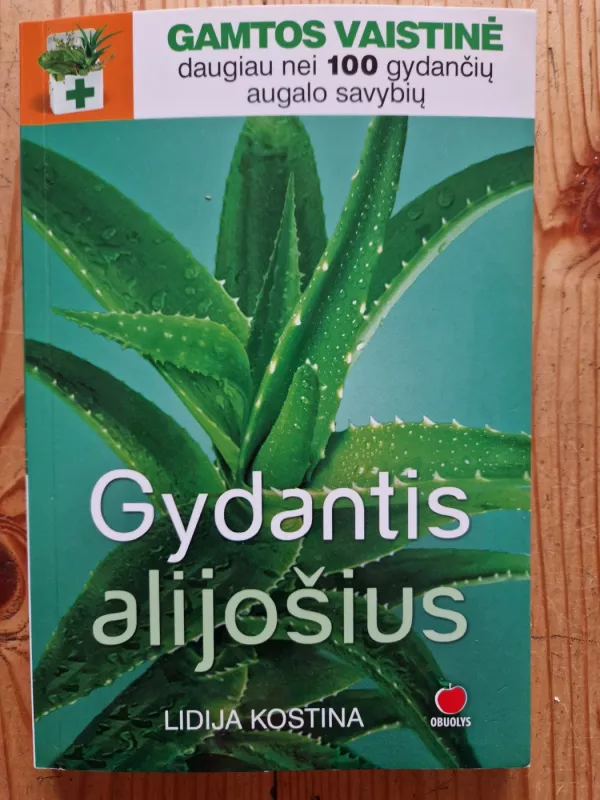 Gydantis alijošius - Lidija Kostina, knyga 2