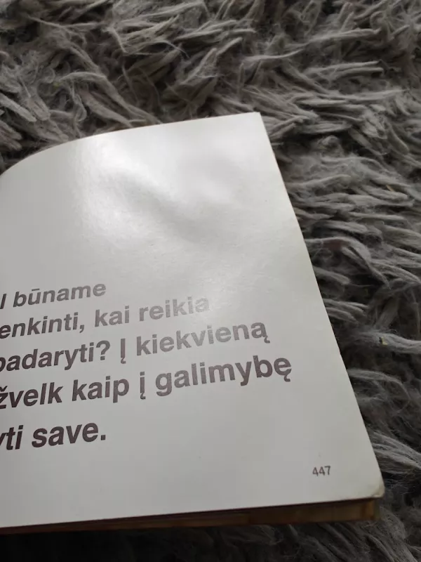 Tūkstantis laimės kelių - David Baird, knyga 5