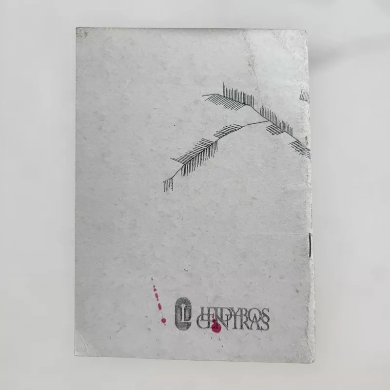 Žiemos švenčių kompozicijos - Rita Makarskaitė - Petkevičienė, knyga 3