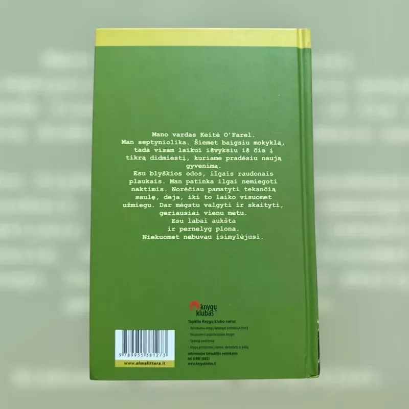 Slapti dienoraščiai - Joanne Horniman, knyga 3