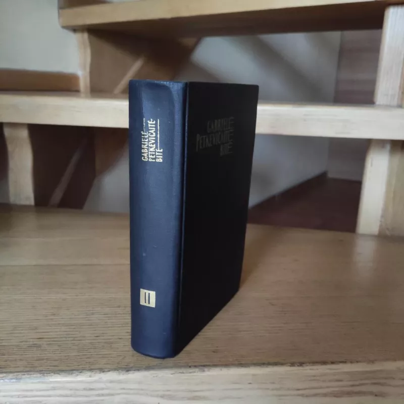 Karo meto dienoraštis - Gabrielė Petkevičaitė-Bitė, knyga 4