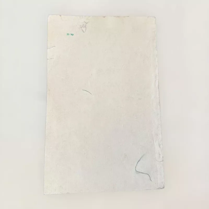 Raistelio šviesa - Henrikas Gudavičius, knyga 3