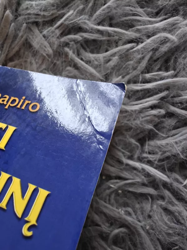 Kaip ugdyti vaiko emocinį intelektą. Vadovas tėvams - Dr. Lawrence E. Shapiro, knyga 3