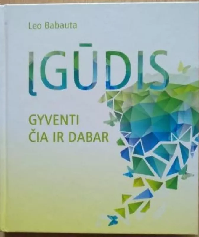 ĮGŪDIS gyventi čia ir dabar - Leo Babauta, knyga 2