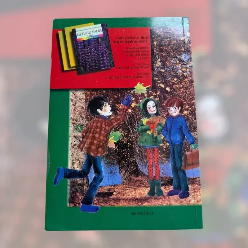 Lietuvių kalbos žinynas VI klasei - Vilija Salienė, knyga 3