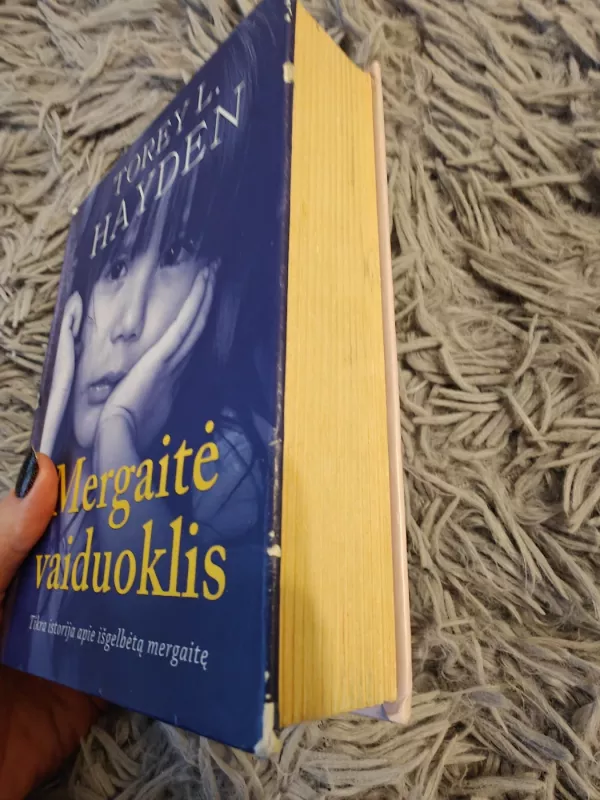 Mergaitė vaiduoklis - Torey Hayden, knyga 3