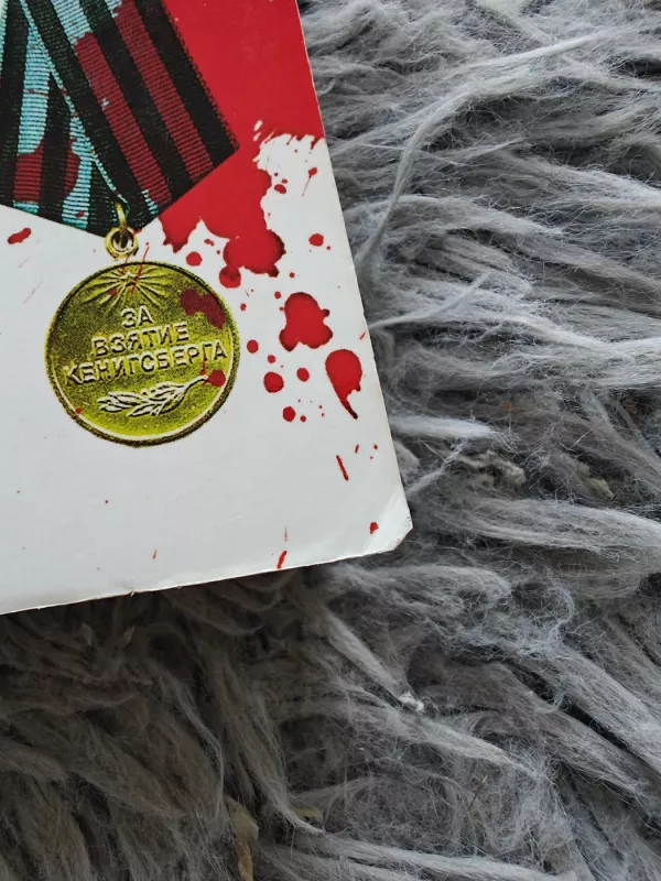 Vilko vaikai - Remigijus Baltrušaitis, knyga 4