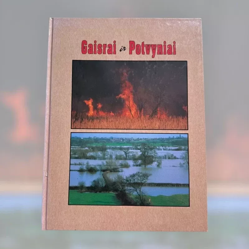 Gaisrai ir potvyniai - David Lambert, knyga 2