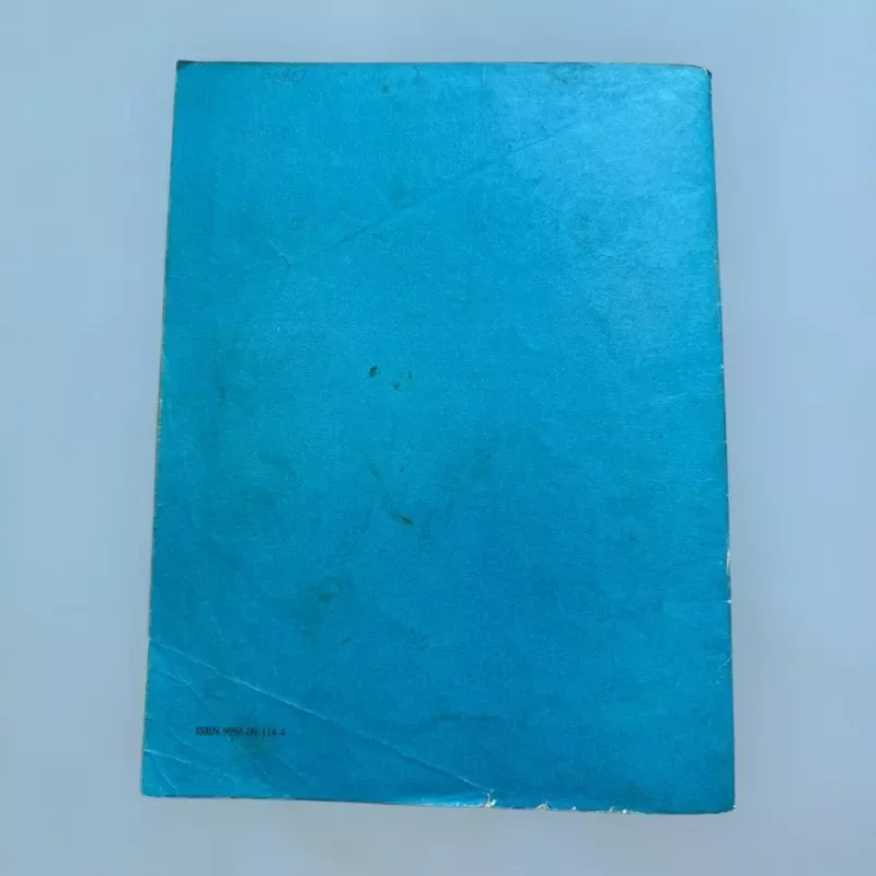 Matematikos testai 4 klasei - Audronis Bortkevičius, knyga 3