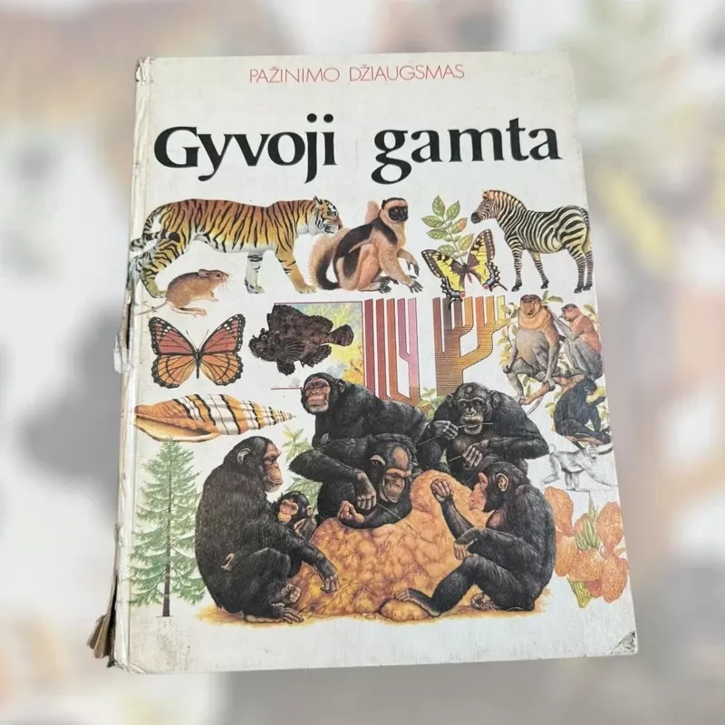 Pažinimo džiaugsmas. Gyvoji gamta - Autorių kolektyvas (įvairūs), knyga 2